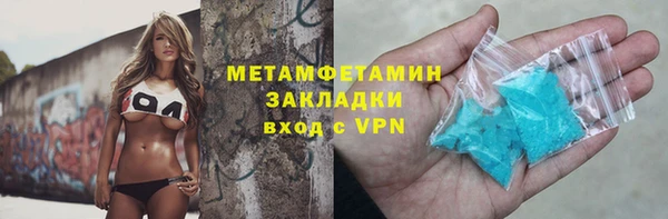 прущие грибы Волоколамск