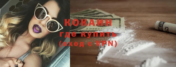 прущие грибы Волоколамск