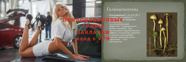 стаф Волосово