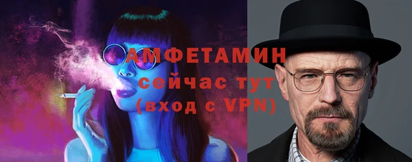 прущие грибы Волоколамск