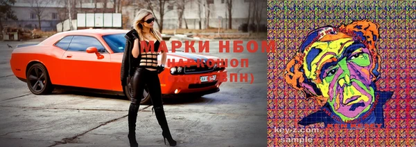 прущие грибы Волоколамск