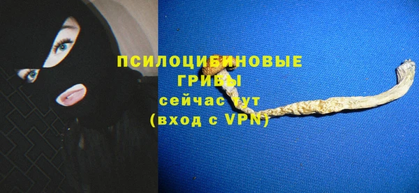 стаф Волосово