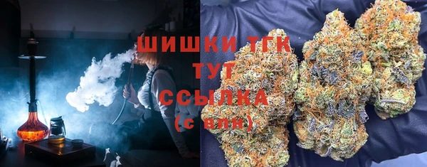 стаф Волосово