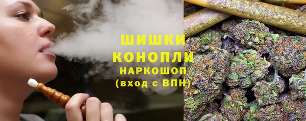 бошки Верхний Тагил