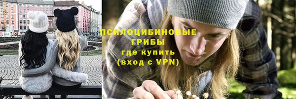 прущие грибы Волоколамск
