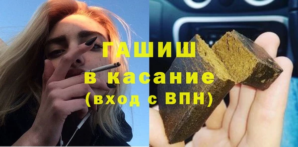 прущие грибы Волоколамск