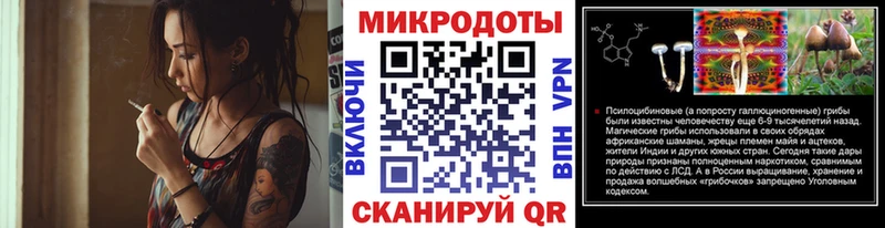 Псилоцибиновые грибы Cubensis  где можно купить   сайты даркнета клад  Выборг  кракен зеркало 